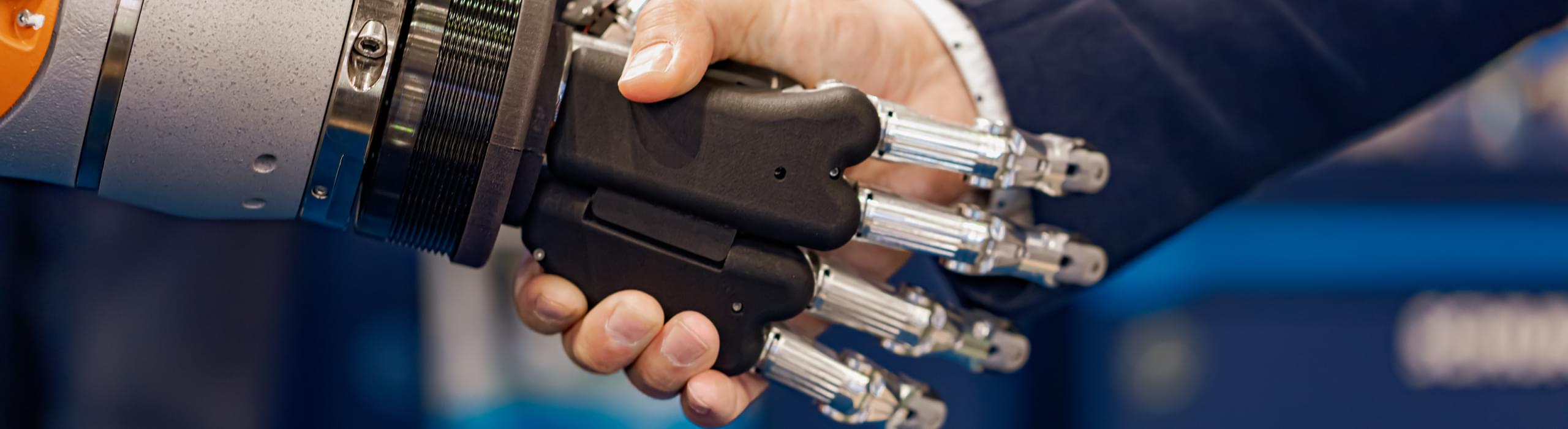 Humanoid Robot